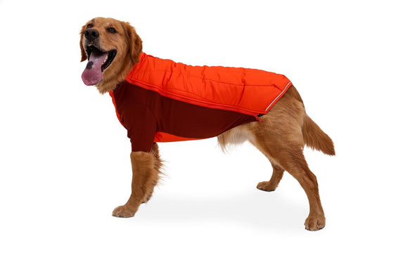 Powder Hound™ Jacket