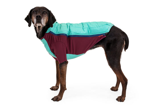 Powder Hound™ Jacket