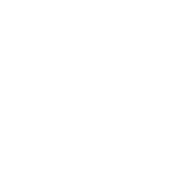 Origin Pets Longton